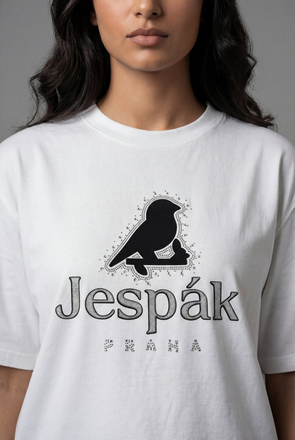 PRAHA SIGNATURE BIRD OVERSIZED T-SHIRT
